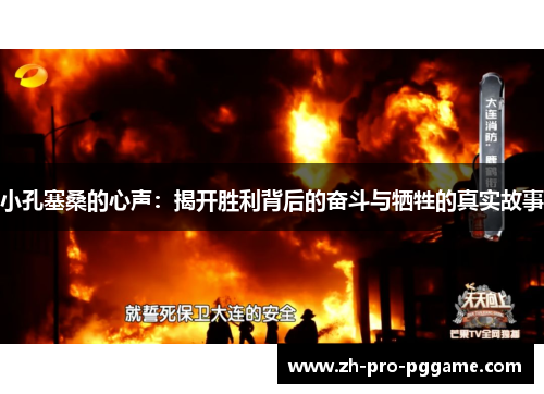 小孔塞桑的心声：揭开胜利背后的奋斗与牺牲的真实故事