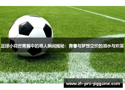 足球小将世青篇中的感人瞬间揭秘：青春与梦想交织的泪水与欢笑