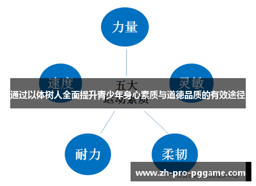 通过以体树人全面提升青少年身心素质与道德品质的有效途径