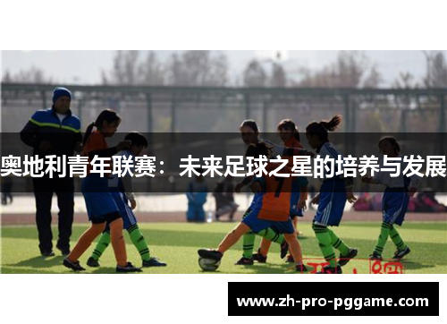奥地利青年联赛：未来足球之星的培养与发展