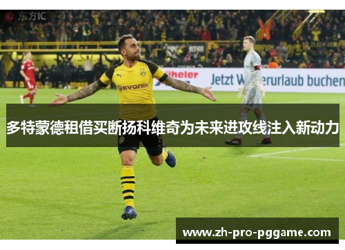 多特蒙德租借买断扬科维奇为未来进攻线注入新动力