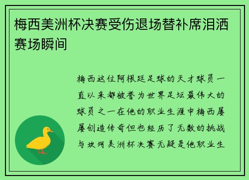 梅西美洲杯决赛受伤退场替补席泪洒赛场瞬间