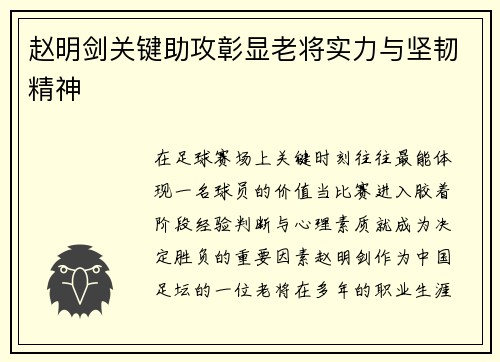 赵明剑关键助攻彰显老将实力与坚韧精神